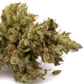 Face Gas THCa Hemp Flower - Plants